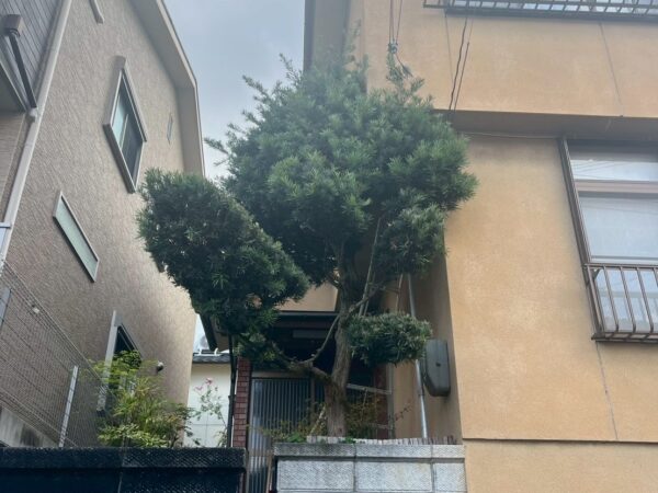 施工前